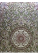 3419 green (2)